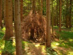 2013-07-20_Regina-F-Rau_Kochel-Rabenkopf (206).JPG